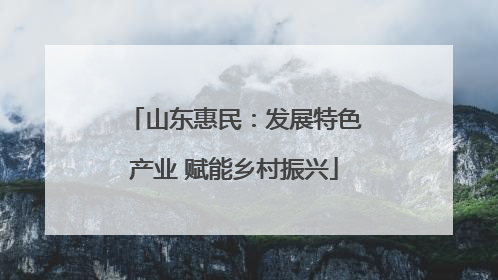 山东惠民：发展特色产业 赋能乡村振兴