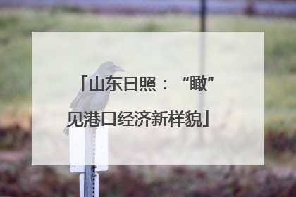 山东日照：“瞰”见港口经济新样貌