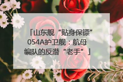 山东舰“贴身保镖”054A护卫舰：航母编队的反潜“老手”
