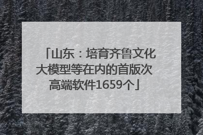 山东：培育齐鲁文化大模型等在内的首版次高端软件1659个