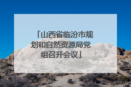 山西省临汾市规划和自然资源局党组召开会议
