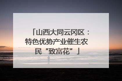山西大同云冈区：特色优势产业催生农民“致富花”