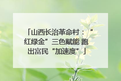 山西长治革命村：“红绿金”三色赋能 跑出富民“加速度”