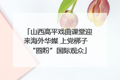 山西高平戏曲课堂迎来海外华媒 上党梆子“圈粉”国际观众