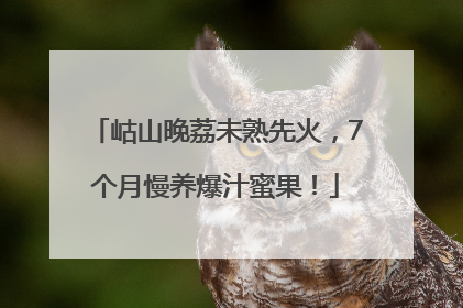 岵山晚荔未熟先火，7个月慢养爆汁蜜果！