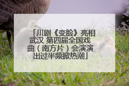 川剧《变脸》亮相武汉 第四届全国戏曲（南方片）会演演出过半频掀热潮