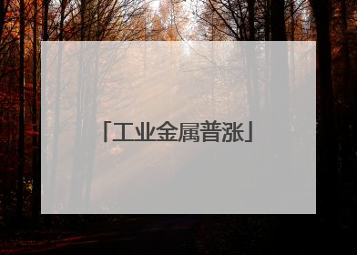 工业金属普涨