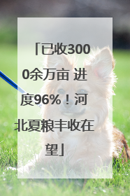 已收3000余万亩 进度96%！河北夏粮丰收在望
