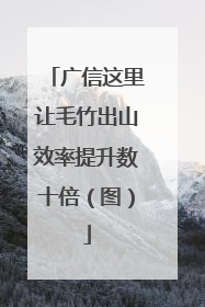 广信这里让毛竹出山效率提升数十倍（图）