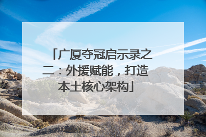 广厦夺冠启示录之二：外援赋能，打造本土核心架构
