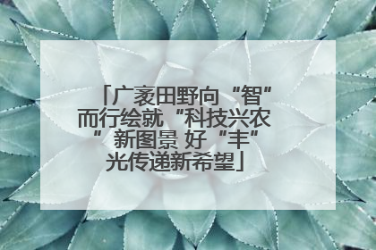 广袤田野向“智”而行绘就“科技兴农”新图景 好“丰”光传递新希望