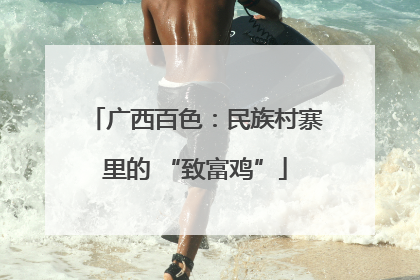 广西百色：民族村寨里的 “致富鸡”
