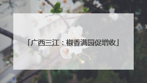 广西三江：椒香满园促增收