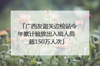 广西友谊关边检站今年累计验放出入境人员超150万人次