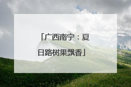 广西南宁：夏日路树果飘香
