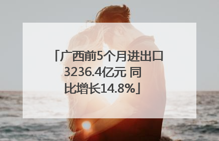 广西前5个月进出口3236.4亿元 同比增长14.8%