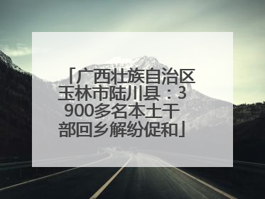 广西壮族自治区玉林市陆川县：3900多名本土干部回乡解纷促和