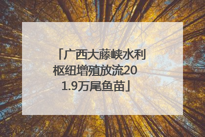 广西大藤峡水利枢纽增殖放流201.9万尾鱼苗