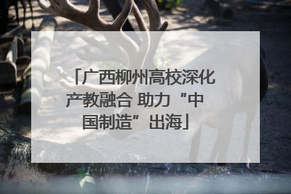 广西柳州高校深化产教融合 助力“中国制造”出海