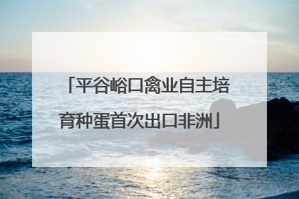 平谷峪口禽业自主培育种蛋首次出口非洲