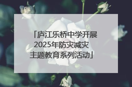 庐江乐桥中学开展2025年防灾减灾主题教育系列活动