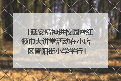 延安精神进校园暨红领巾大讲堂活动在小店区晋阳街小学举行