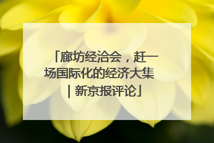 廊坊经洽会，赶一场国际化的经济大集｜新京报评论