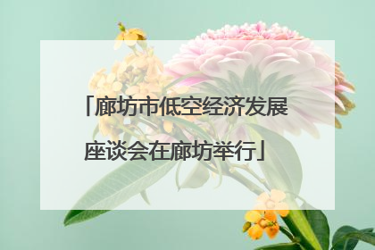 廊坊市低空经济发展座谈会在廊坊举行