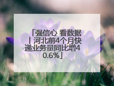 强信心 看数据丨河北前4个月快递业务量同比增40.6%