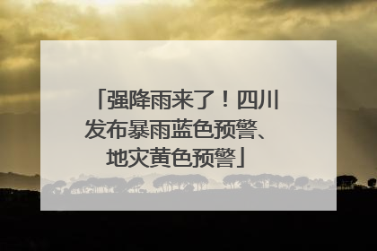 强降雨来了！四川发布暴雨蓝色预警、地灾黄色预警