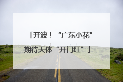 开波！“广东小花”期待天体“开门红”