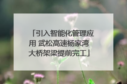 引入智能化管理应用 武松高速杨家湾大桥架梁提前完工
