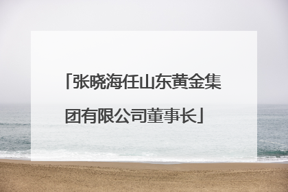 张晓海任山东黄金集团有限公司董事长