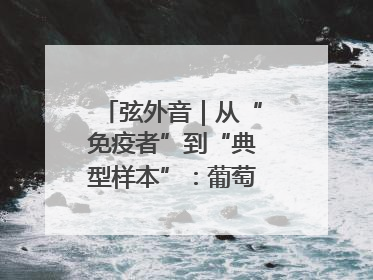 弦外音｜从“免疫者”到“典型样本”：葡萄牙极右翼崛起背后的欧洲困局