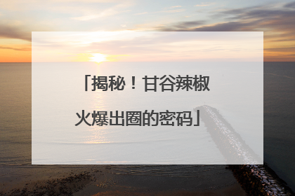 揭秘！甘谷辣椒火爆出圈的密码