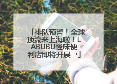 排队预警！全球顶流来上海啦！LABUBU怪味便利店即将开展→