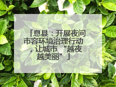 息县：开展夜间市容环境治理行动，让城市 “越夜越美丽”