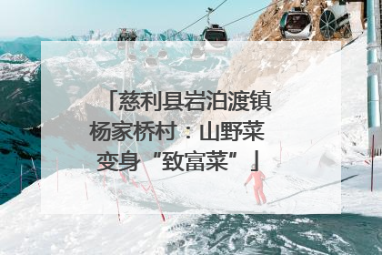 慈利县岩泊渡镇杨家桥村：山野菜变身“致富菜”