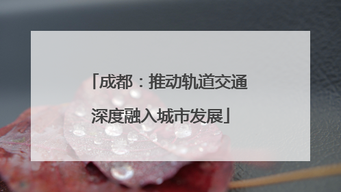 成都：推动轨道交通深度融入城市发展