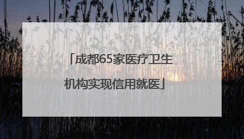 成都65家医疗卫生机构实现信用就医