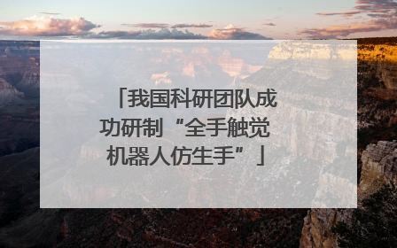 我国科研团队成功研制“全手触觉机器人仿生手”