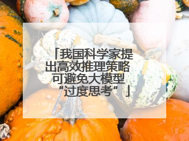 我国科学家提出高效推理策略 可避免大模型“过度思考”