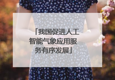 我国促进人工智能气象应用服务有序发展