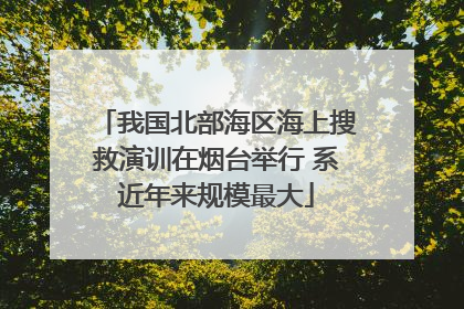 我国北部海区海上搜救演训在烟台举行 系近年来规模最大