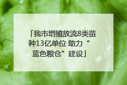 我市增殖放流8类苗种13亿单位 助力“蓝色粮仓”建设