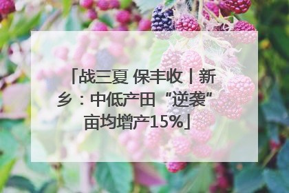 战三夏 保丰收丨新乡：中低产田“逆袭” 亩均增产15%