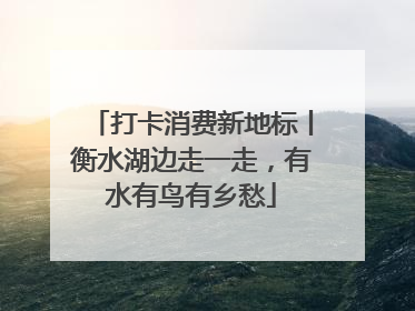 打卡消费新地标丨衡水湖边走一走，有水有鸟有乡愁