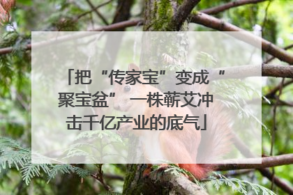 把“传家宝”变成“聚宝盆” 一株蕲艾冲击千亿产业的底气