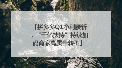 拼多多Q1净利腰斩，“千亿扶持”持续加码商家高质量转型