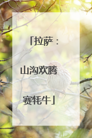 拉萨：山沟欢腾赛牦牛
